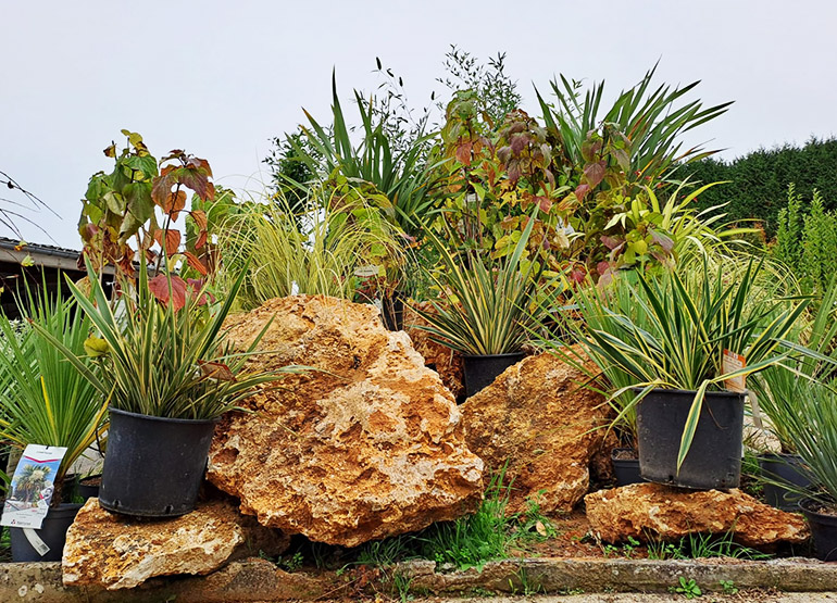 Jardinerie Milly-la-Forêt, Jardinerie Essonne, Jardinerie 91