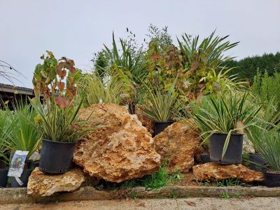 La jardinerie